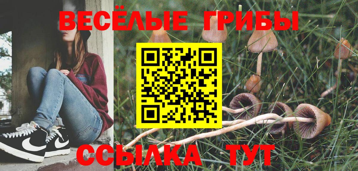 Кунгур  Псилоцибиновые грибы Psilocybe  Псилоцибиновые грибы Magic Shrooms  Вход с VPN 